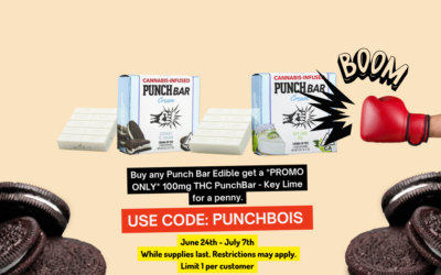 Get a Key Lime 100mg Punch Bar for a penny!