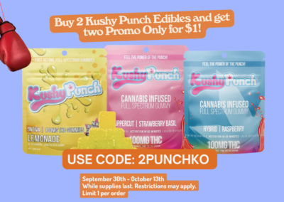Kushy Punch Edibles B2G2