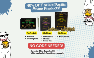 Pacific Stone 40% Off