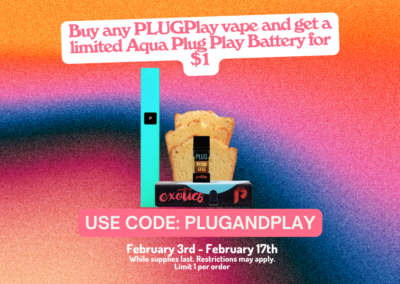 PLUGPlay Battery for $1